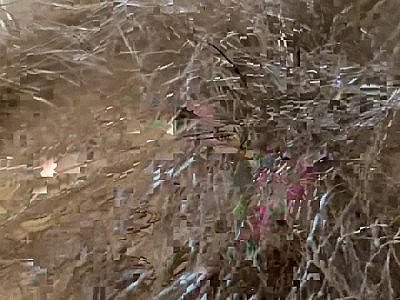 Extreme Close Up Big Clit Vagina Asshole Mouth Giantess Fetish Video Hairy Body