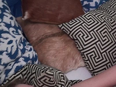 Teen daughters get lesbian sex from mothers