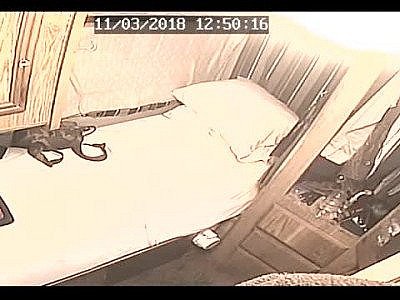 Sfucking kelsey part 2