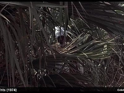 Abadit Ghidei, Barbara Grandi, Elisabetta Genovese Nude