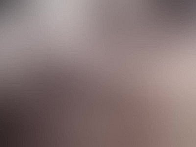 My wife's dream fulfilled