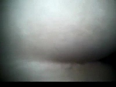 Orgasme avec des étalons black