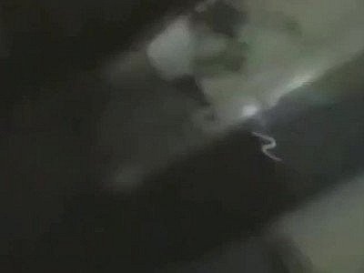 Finally my girl had a great ride