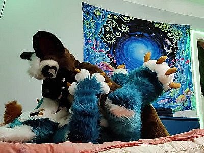 Dog bangs a fox and cums on his face