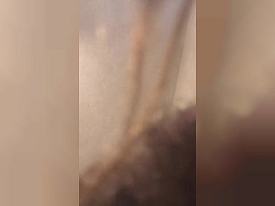 Fat dick too big for pocket pussy