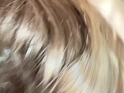 Hot Girl Jerks and Sucks Uncut Cock after Making Him Hard in His Boxers